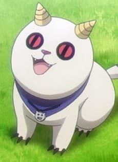 Toto
