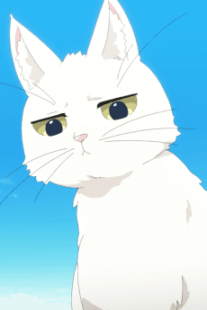 Neko