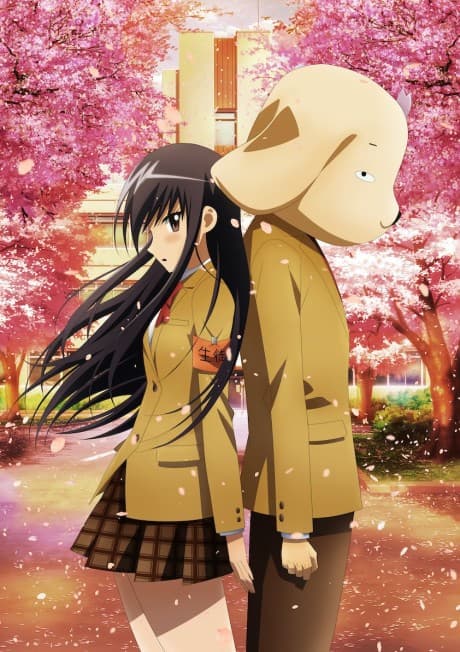Anime