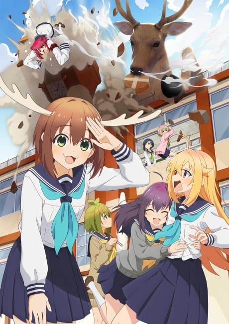Anime